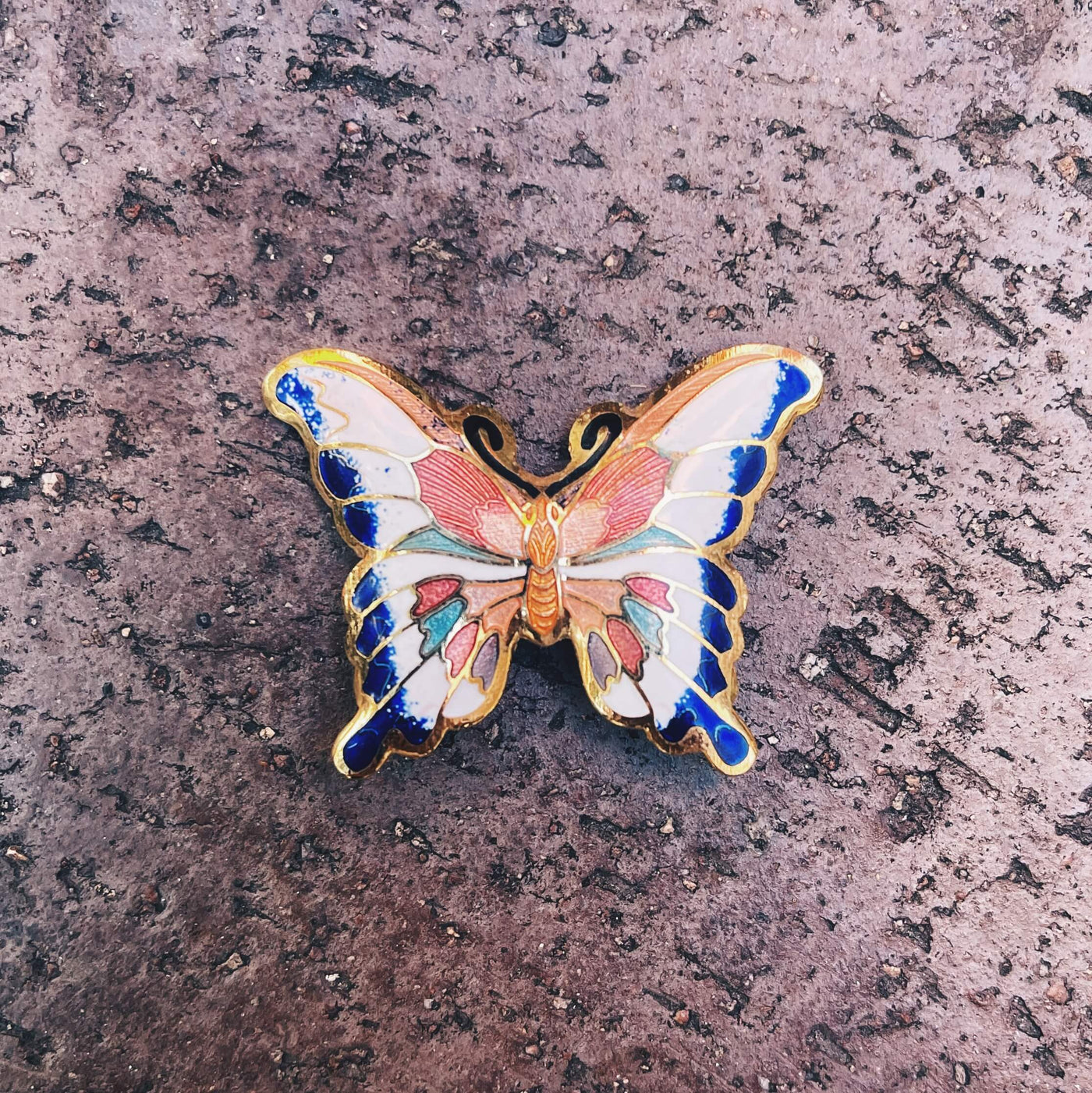 Cloisonne Butterfly Pin